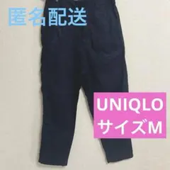 Item thumbnail for item bd725564-4561-41a9-998f-52cb6a471305