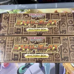 ミステリーボックス　2つセット