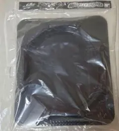 Item thumbnail for item 024a4262-4ce3-4d04-922b-675b31ed0087