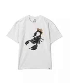 新品 XLサイズ NIKE ACG TEE SCORPION SUMMITのサムネイル