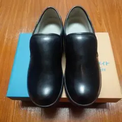 Item thumbnail for item d0c21b9c-f13b-41f2-8d17-a74135ccf42f