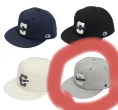 Item thumbnail for item 997d811a-f645-486c-af2a-4510ced8f5c0