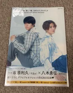 TVドラマ&劇場版「美しい彼」公式ビジュアルブック