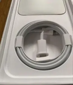 Apple iPhone純正充電ケーブル　タイプC