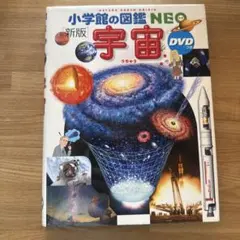 Item thumbnail for item bee098c6-6130-4aee-bed0-51d1aab0a12c