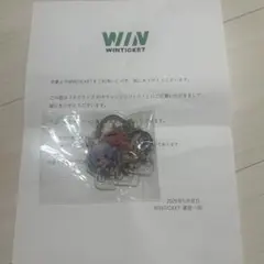 WINTICKET ホロライブコラボ キーホルダー 4個セット（day2チーム