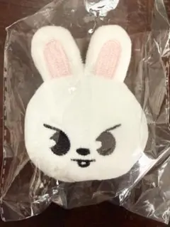 2026年最新】StrayKids リノ ぬいぐるみの人気アイテム - メルカリ