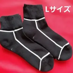CHICSTOCKS ライン アンクルソックス Lサイズのサムネイル