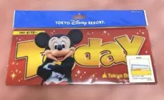 東京ディズニーランド　シー　チケットケース　ミッキーマウス　ミニーマウス