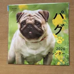 うえき様 リクエスト 2点 まとめ商品