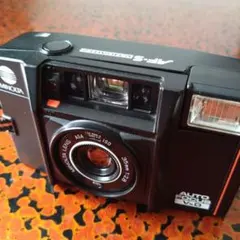 Item thumbnail for item cace2d65-7825-41fe-8890-0d29e2d8b475