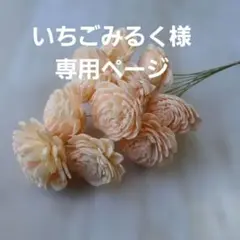 いちごみるく様　専用ページ