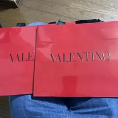 VALENTINO 赤 ショップ袋 2枚セットのサムネイル