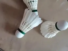 Item thumbnail for item 0fd3a173-7110-46ca-bdbb-a62d71031f65