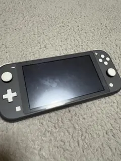 Nintendo Switch Lite グレー 本体