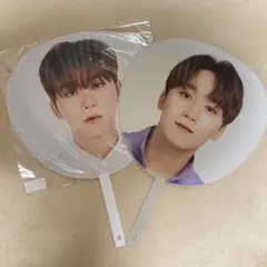 Item thumbnail for item ffc18436-6184-43a2-ab67-471d5d2419b0