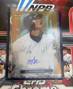 Item thumbnail for item d6727392-2f8e-4198-953c-d0488fb80465