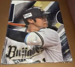 オリックスバファローズ　コロチャレB 31太田椋