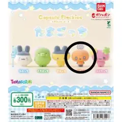 カプセルフロッキーズ たまごっち めめっち