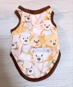 Item thumbnail for item 4da2e787-eab1-4ccc-bb2e-24bb52829c13