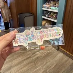 香港ディズニーランド　ダッフィー＆フレンズ　マグネット