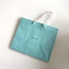 Item thumbnail for item 238e1180-46d9-48b6-a45a-9e5d27a8e1d3