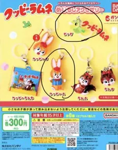 クッピーラムネ　めじるしアクセサリー