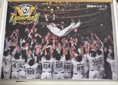 野球 阪神タイガース キャンバスアート セ・リーグ優勝記念 T-SHOP 新品のサムネイル