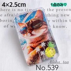 ⭐️ワンコイン⭐️ レジン ヘアゴム ♡ 猫 ネコ ねこ ♡ No. 539