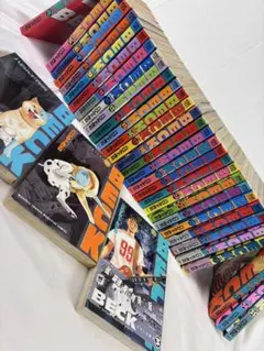 文庫版 BECK 1-17巻 全巻セット ハロルド作石 | Mercari