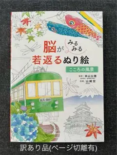 脳がみるみる若返るぬり絵 こころの風景