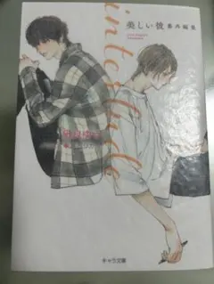 interlude 美しい彼番外編集