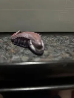 ミニチュアフィギュア 爬虫類モチーフワニのサムネイル