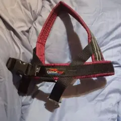 Item thumbnail for item 3557a674-ce0c-4ddd-9e7d-9abfa5db12d3