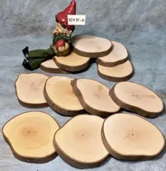 丸太 輪切り ハクウンボク8.6㎝×1㎝厚　切り株251125-4