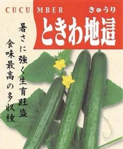 あかぴ様 リクエスト 3点 まとめ商品