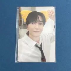 イトゥク コアラのマーチ トレカ SUPER JUNIOR LEETEUK