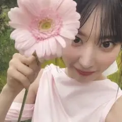 せんよう