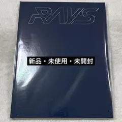 【新品・未開封】 SnowMan Rays パンフレット 2024 レイズ