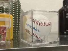 【浜スタ 2日目】サインボール マカロニえんぴつ マカえん