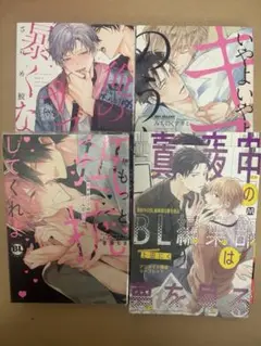 ボーイズラブ漫画セット 4巻