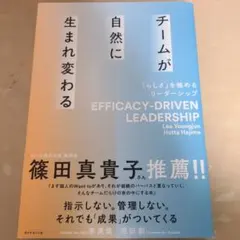 EFFICACY-DRIVEN LEADERSHIP