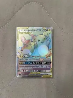 ライチュウ&アローラライチュウ hr