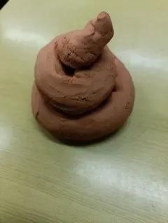 排泄物のインテリア