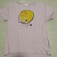 キッズ　女の子　トップス　Tシャツ　128センチ　ザラキッズ