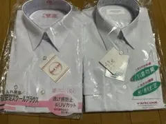 Item thumbnail for item 83bd33fc-7f6f-4524-98a7-b42560b8324a