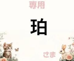 専用