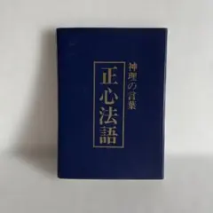 2026年最新】正心法語の人気アイテム - メルカリ