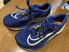 Nike Zoom Fly 5 ズームフライ 5