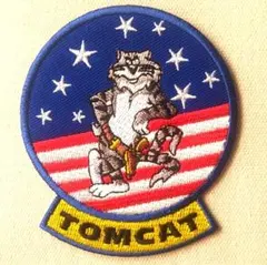 【送料込み】新品☆TOMCATのアイロンワッペン（トップガン F-14）